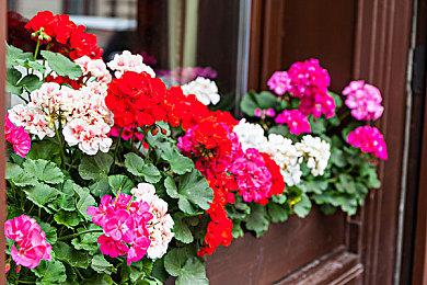 《O2Jam Remix》免费登陆PC 支持在线游玩节奏新游